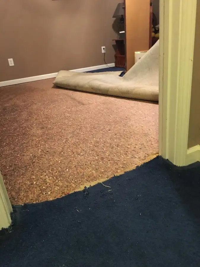 Carpet pad removal revealing water damage during Water Mitigation Services in Lely Resort