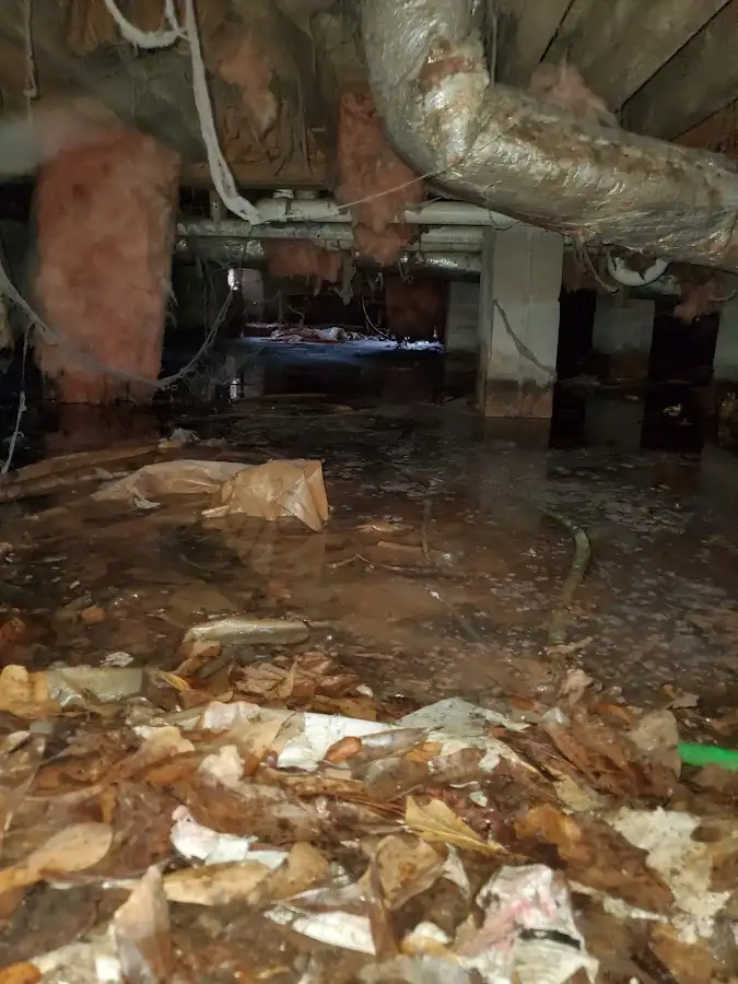 Crawl space flood assessment for Leak Detection & Repair in Lely Resort