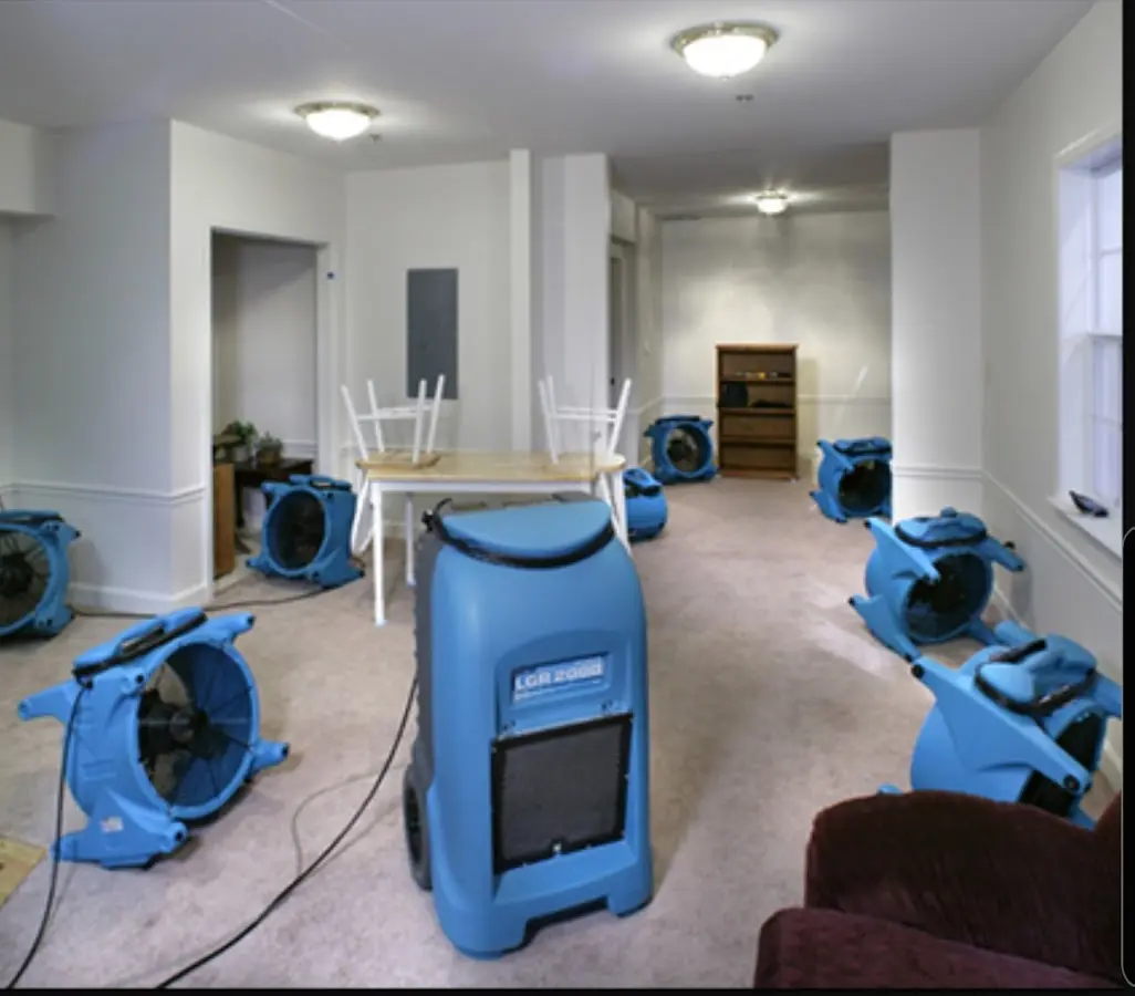 Air movers and dehumidifier setup for Water Extraction & Removal in Lely Resort