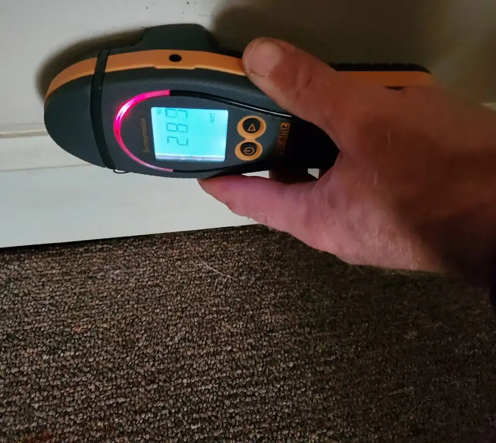 Moisture detection at baseboard during Mold Inspection & Testing in Lely Resort